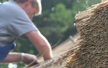 professional Nitshill thatchers