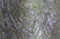 Nitshill fibreglass roof work