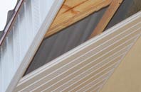 rated Nitshill soffit repair companies